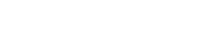 Finance Partner
