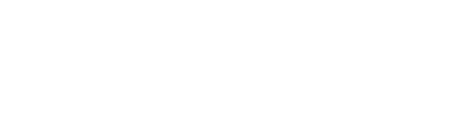 Finance Partner